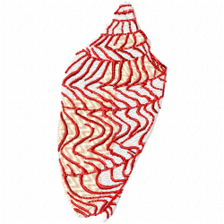 Seashell Embroidery Design 4 Seashell Embroidery Design 4